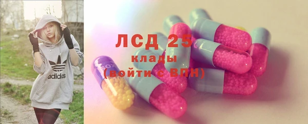 дживик Липки
