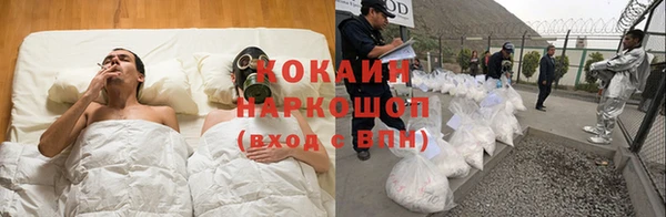дживик Липки