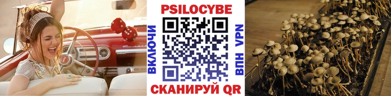 Галлюциногенные грибы Psilocybine cubensis  ОМГ ОМГ   Новодвинск  цены  