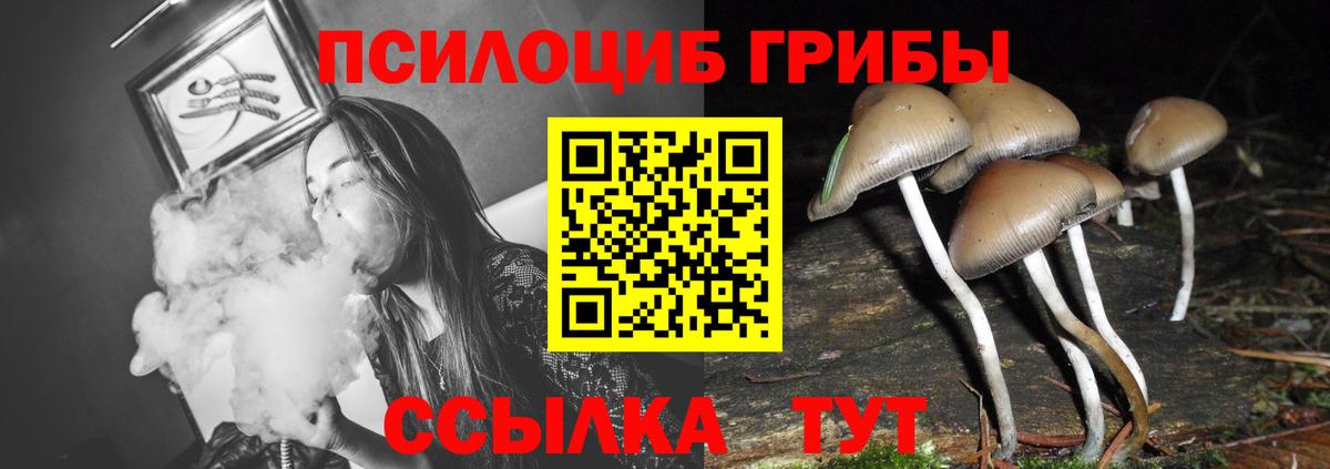 Псилоцибиновые грибы мухоморы Новодвинск