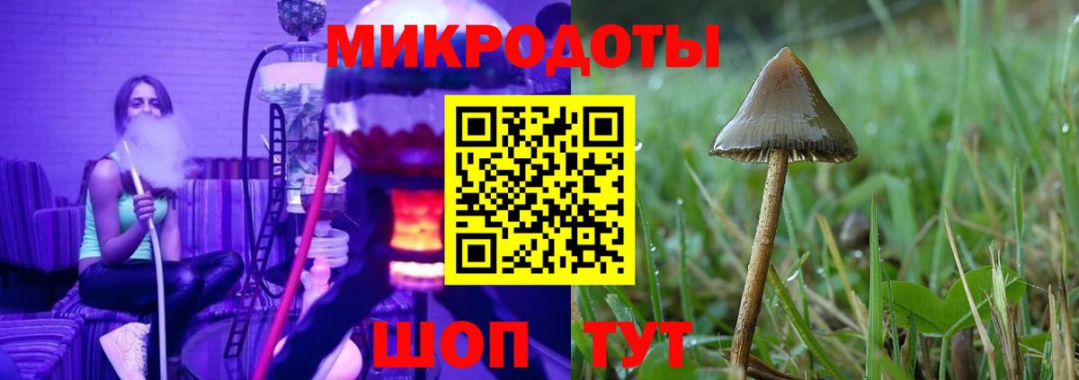 КОКАИН Новодвинск